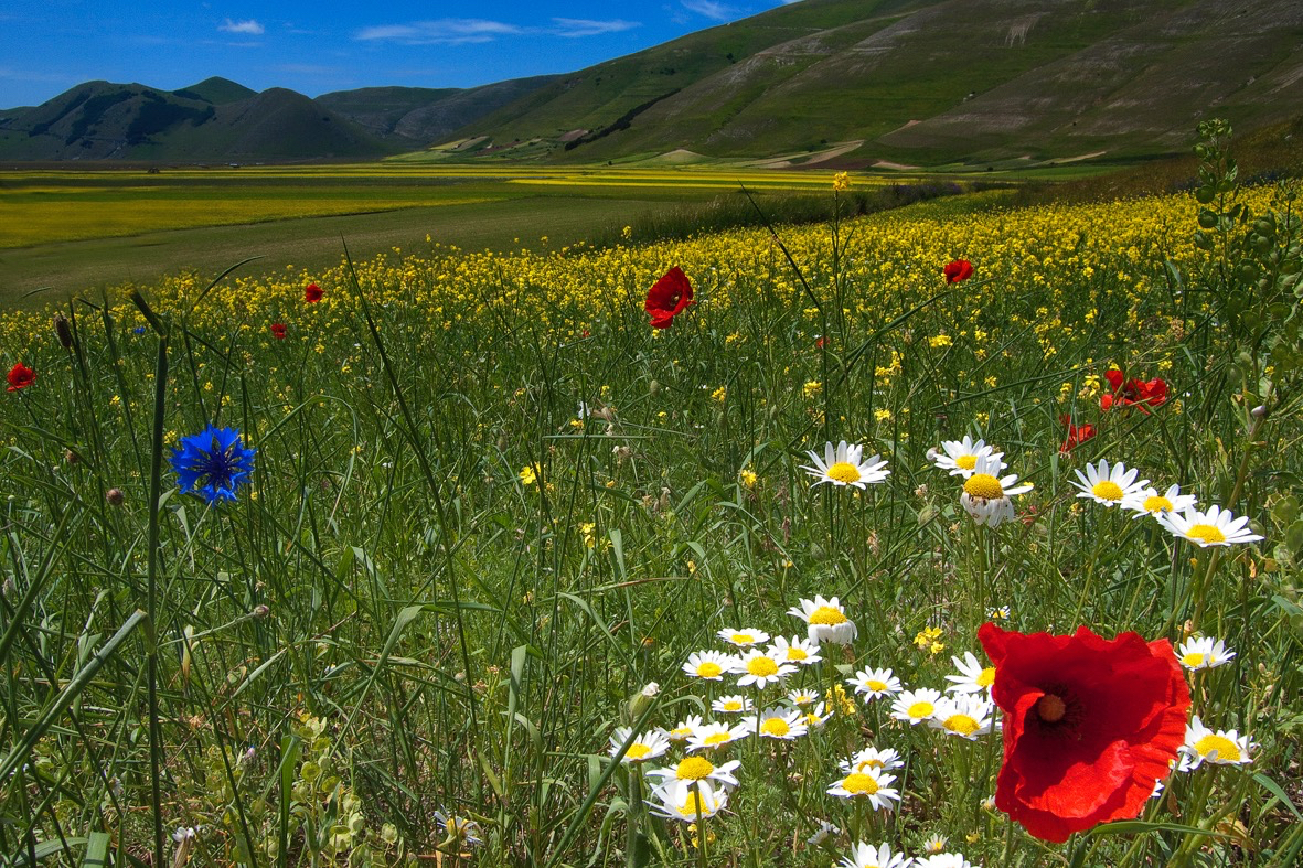 Castelluccio4 '10.jpg