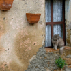 Sovana'07.jpg