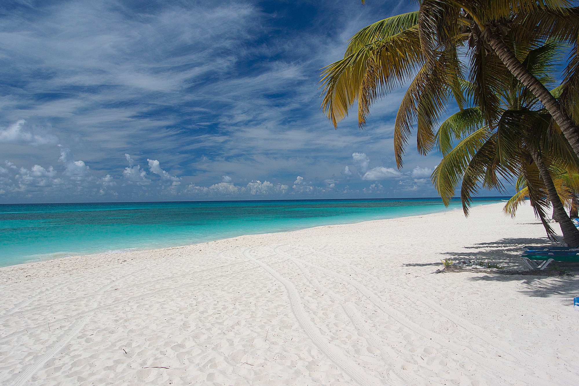 Isla de Saona.jpg