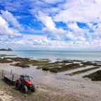 Cancale (1).jpg