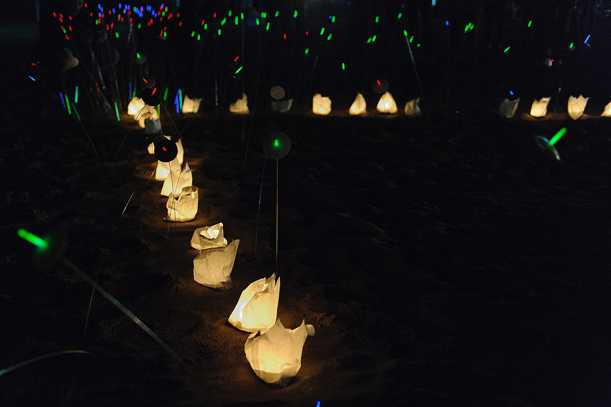 windpeople20.jpg
