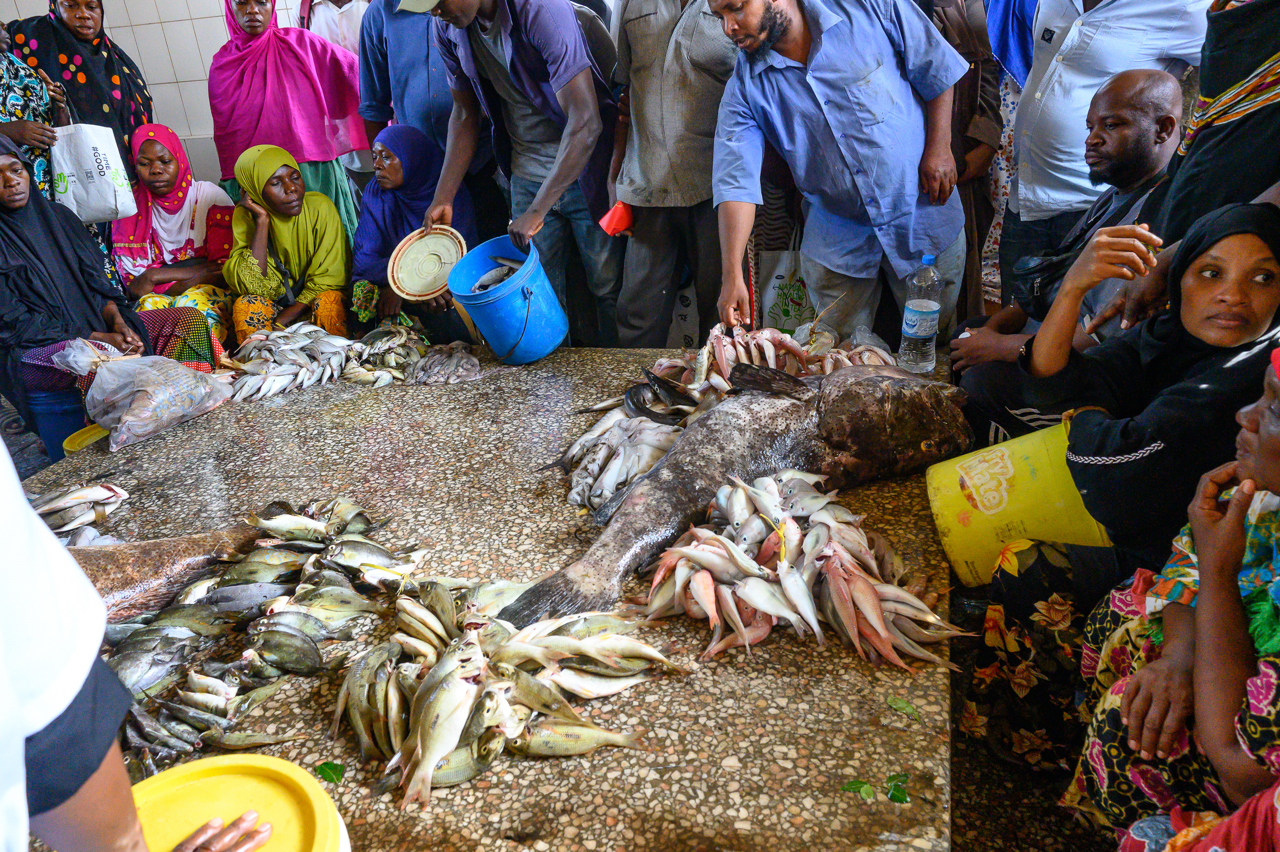 Il Mercato del pesce di Stone Town