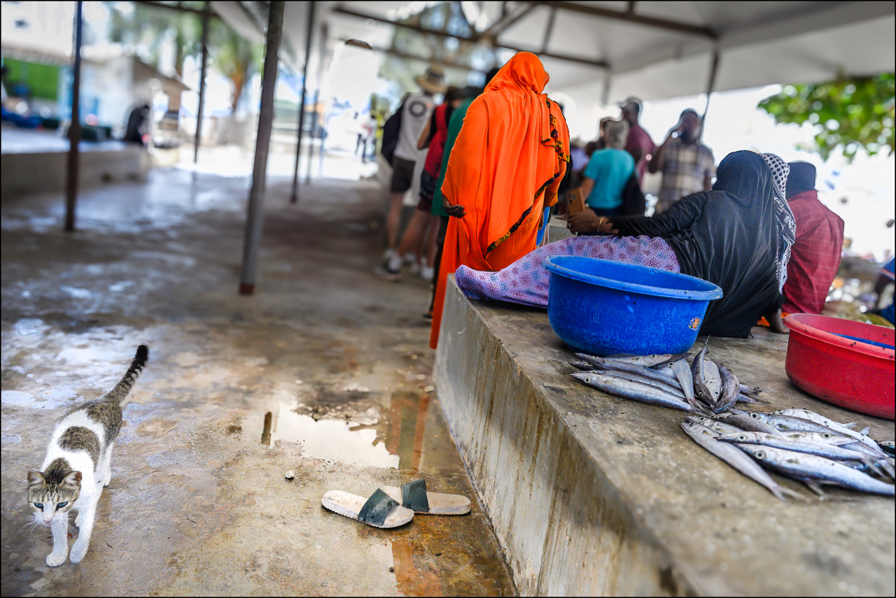 Il mercato del pesce di Nungwi