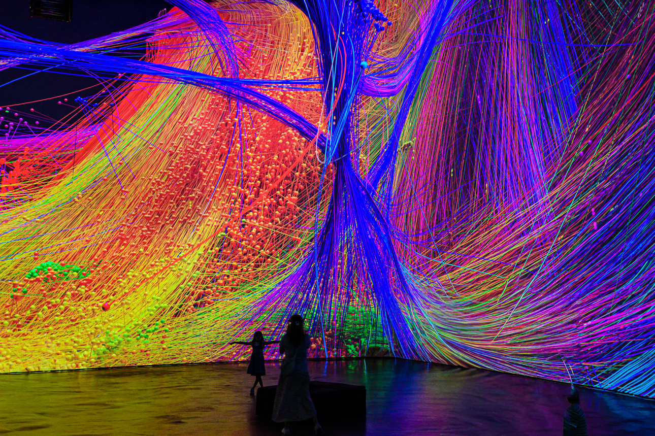 Installazioni all'interno del Museo Guggenheim