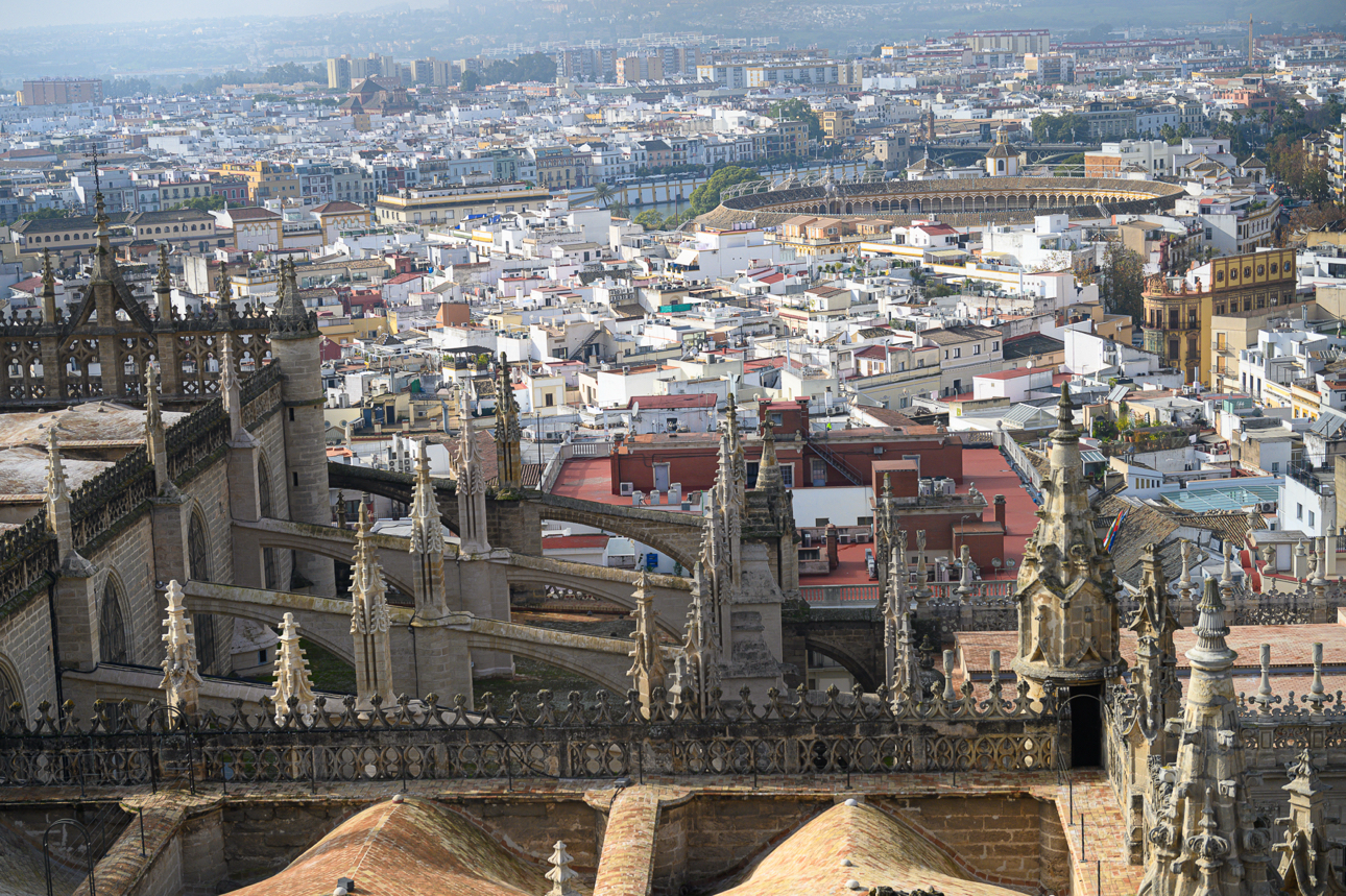 Una panoramica scattata dalla sommit&agrave; della Giralda, scorgiamo la Plaza de Toros 