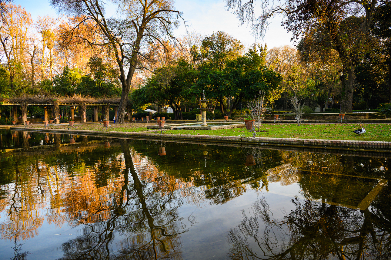 Il bellissimo Parco di Mar&iacute;a Luisa