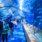 Valencia - 00009.jpg