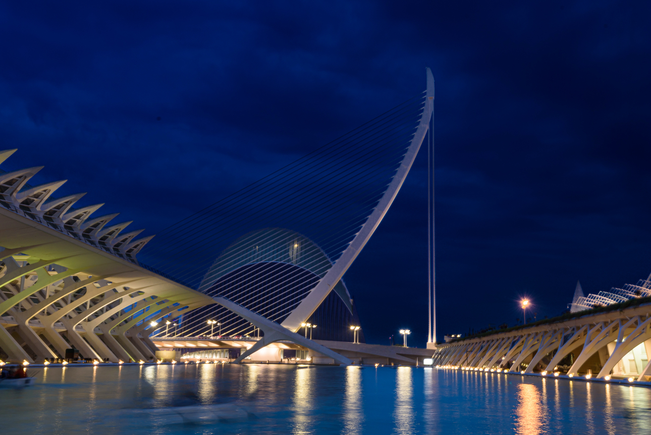 Una vista della Citt&agrave; delle Arti e delle Scienze progettata da Calatrava