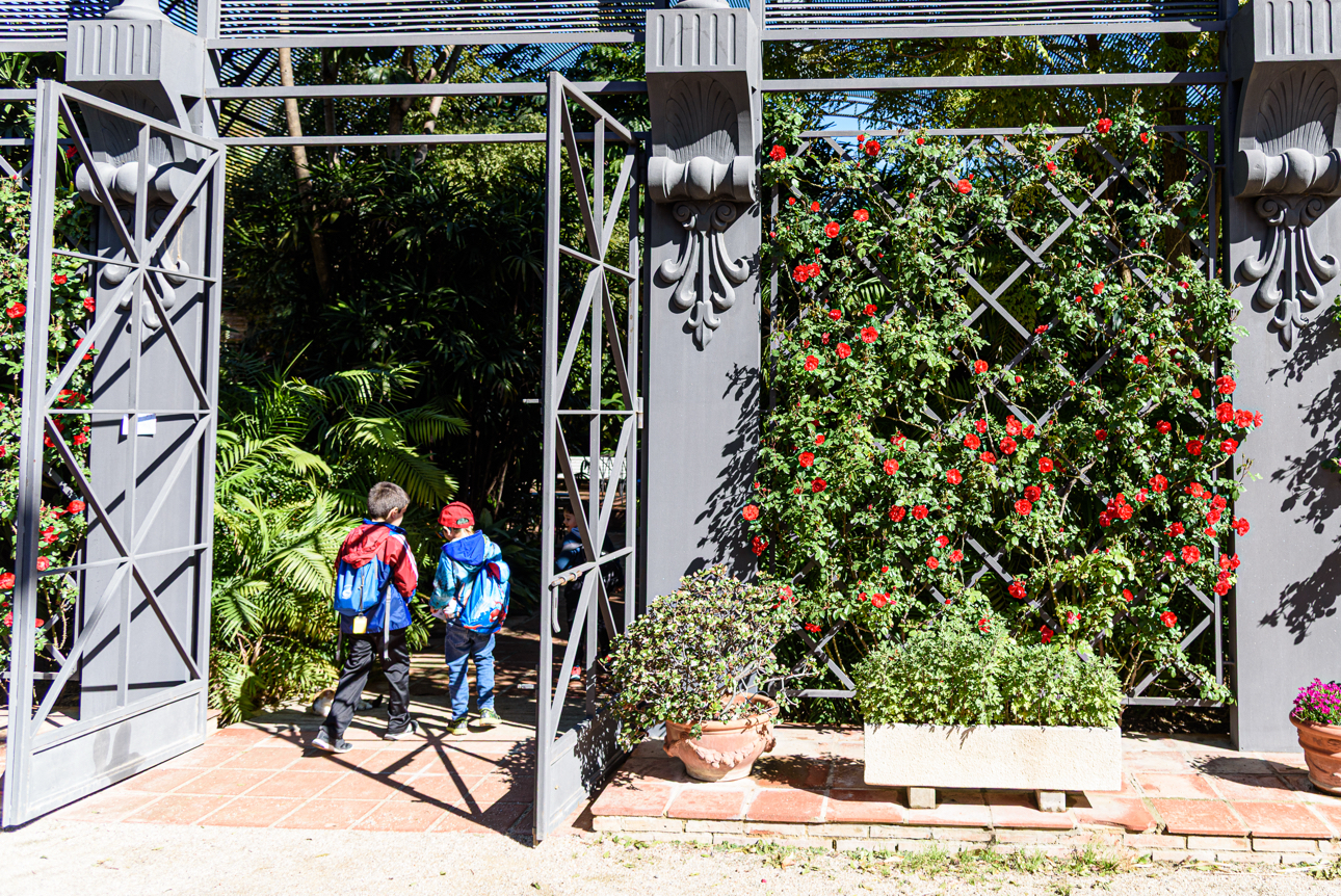 Piccoli all'entrata dell'Orto Botanico