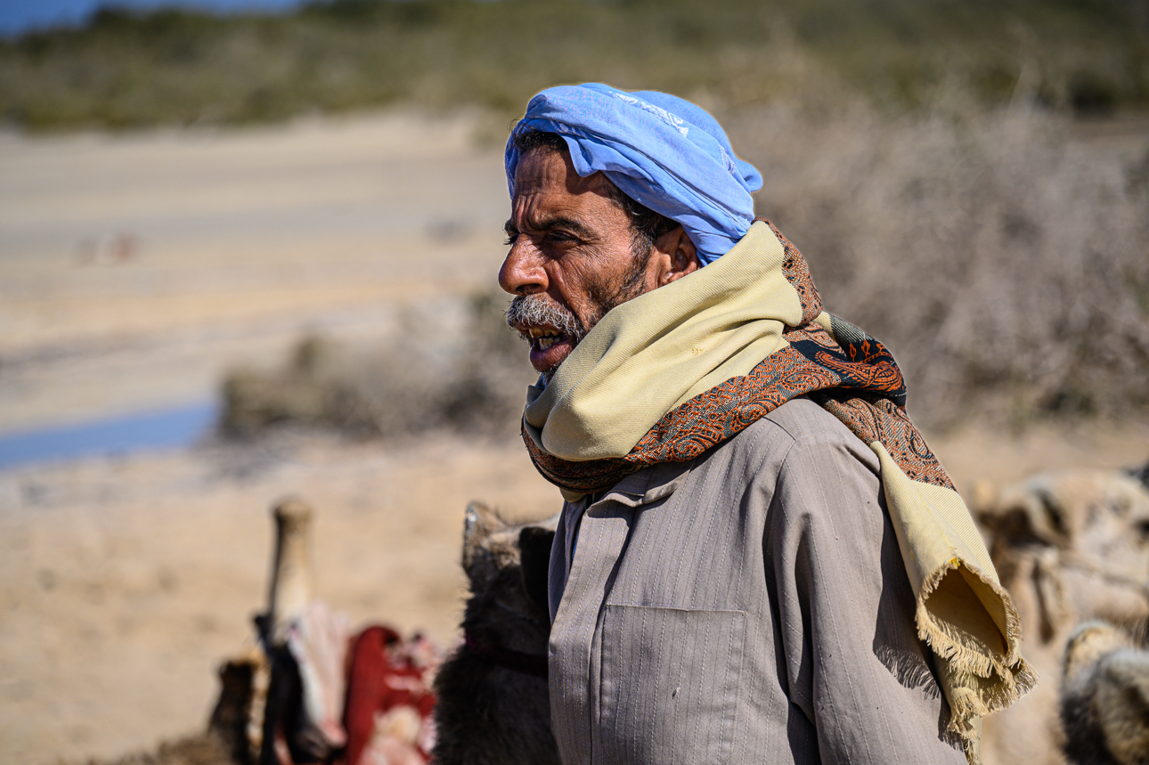 Cammellata nel deserto di Sharm el-Sheikh