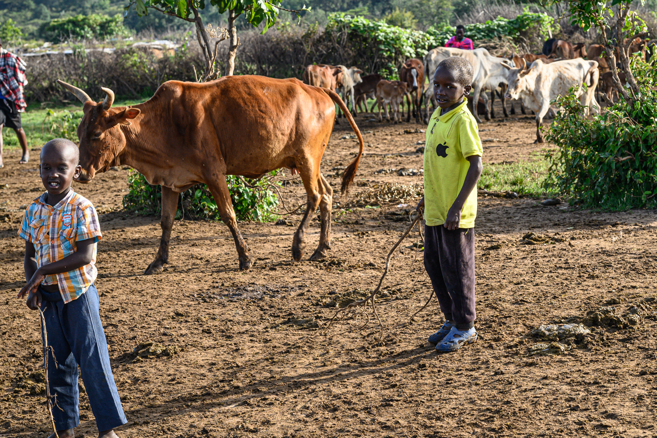 Masai Mara - piccoli pastori masai
