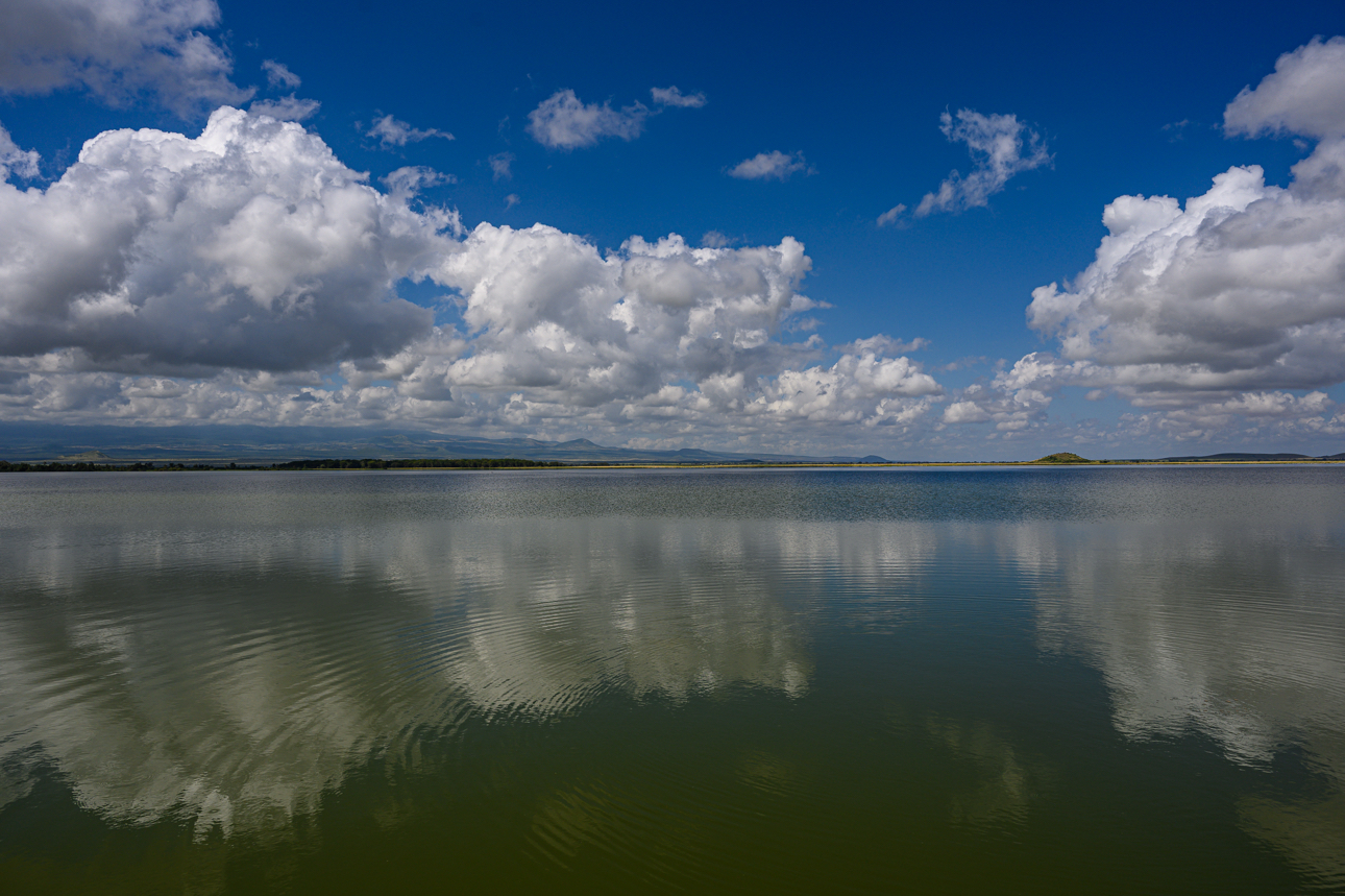 Amboseli - Il lago Amboseli