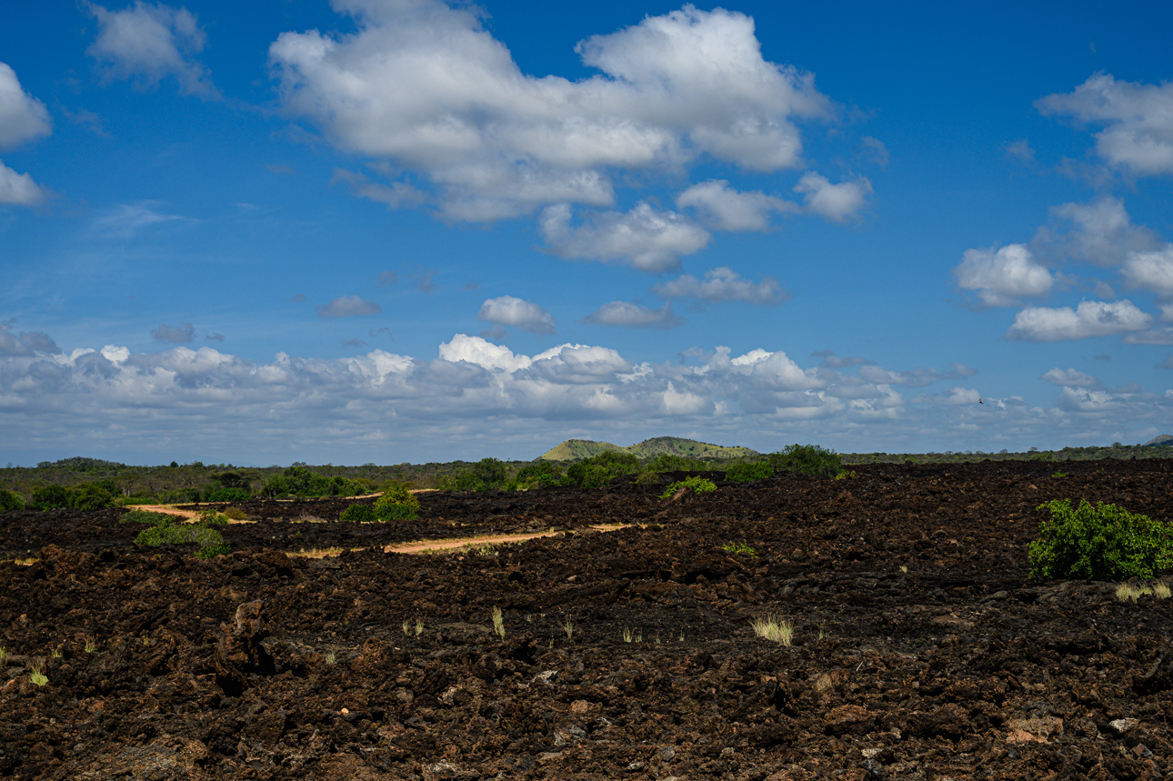 Tsavo Ovest - il pavimento di lava dello Shetani, un vulcano sparito