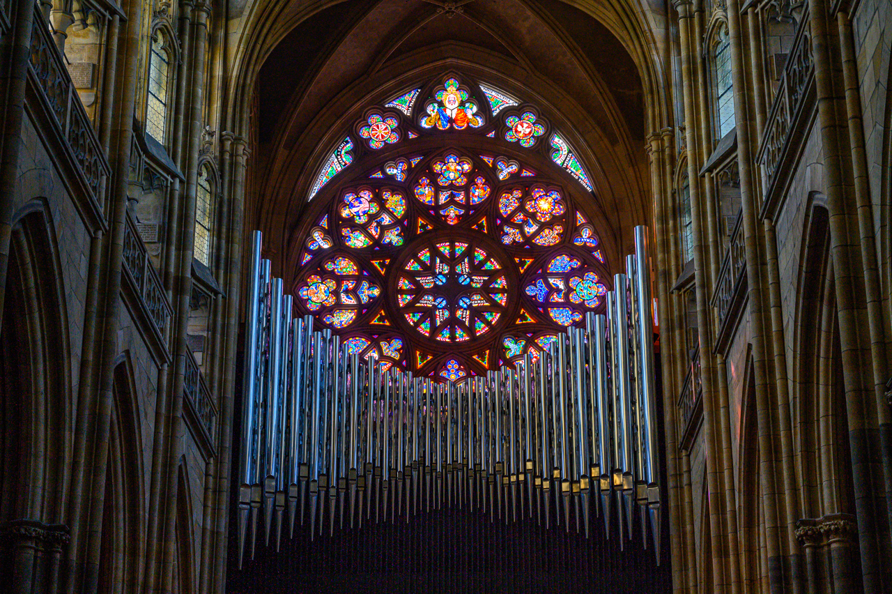  L'imponente organo a canne situato all'interno della Cattedrale di San Vito