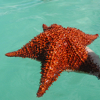 Santo Domingo - 05.jpg