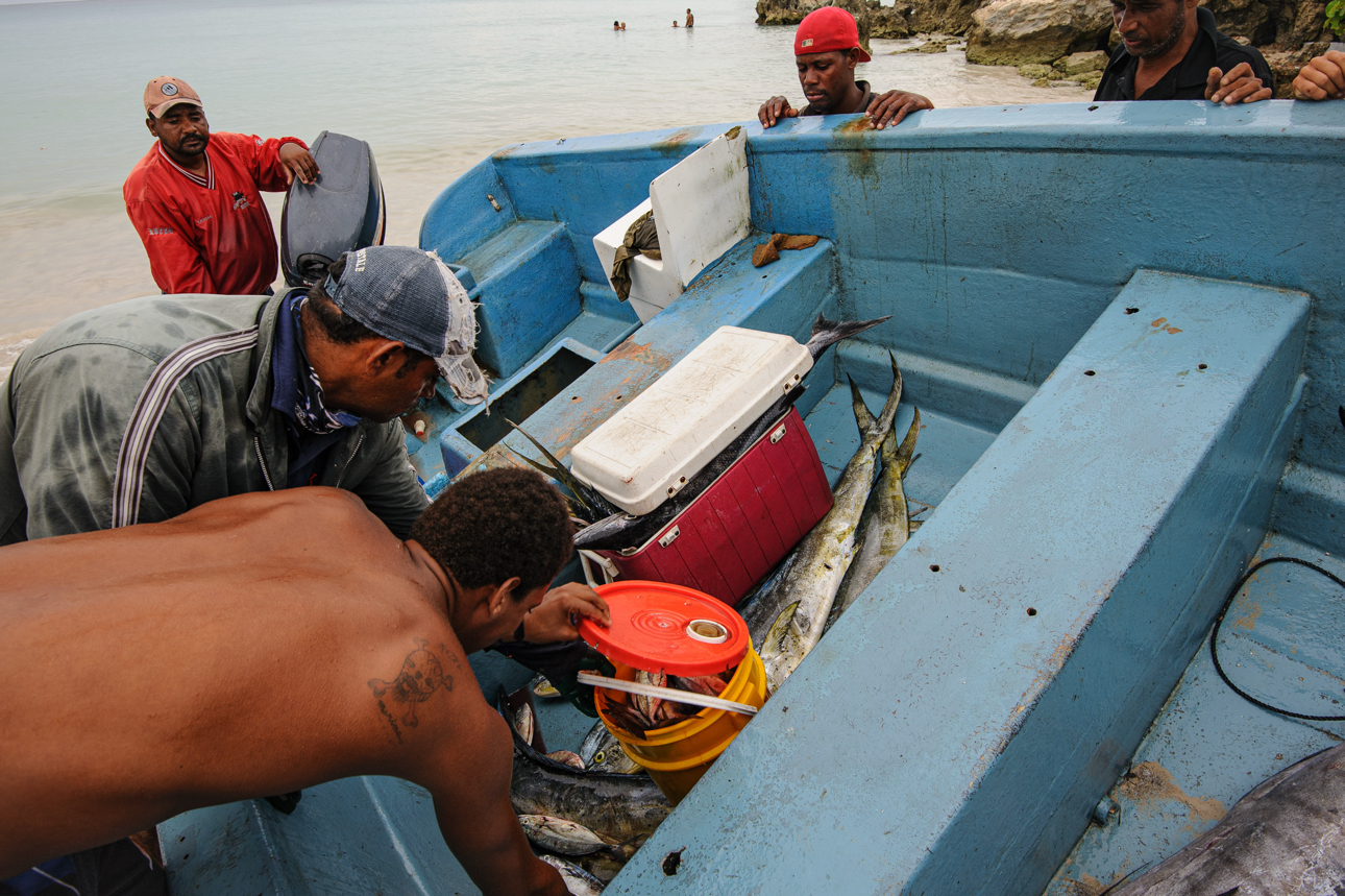 Il risultato della pesca