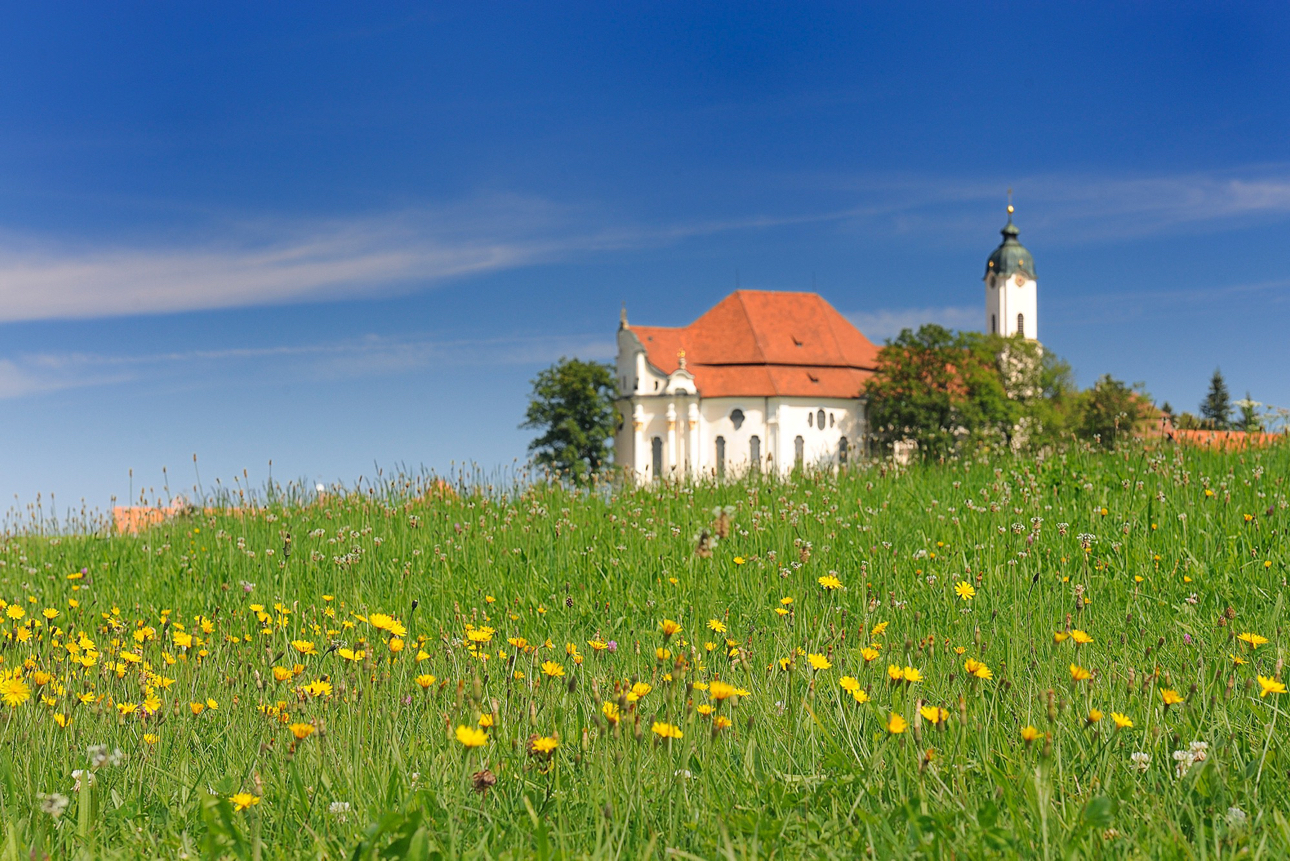 Il Santuario di Wies, Wieskirche, splende nella campagna verdeggiante