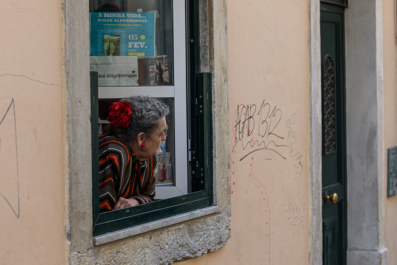 Uno sguardo dalla finestra