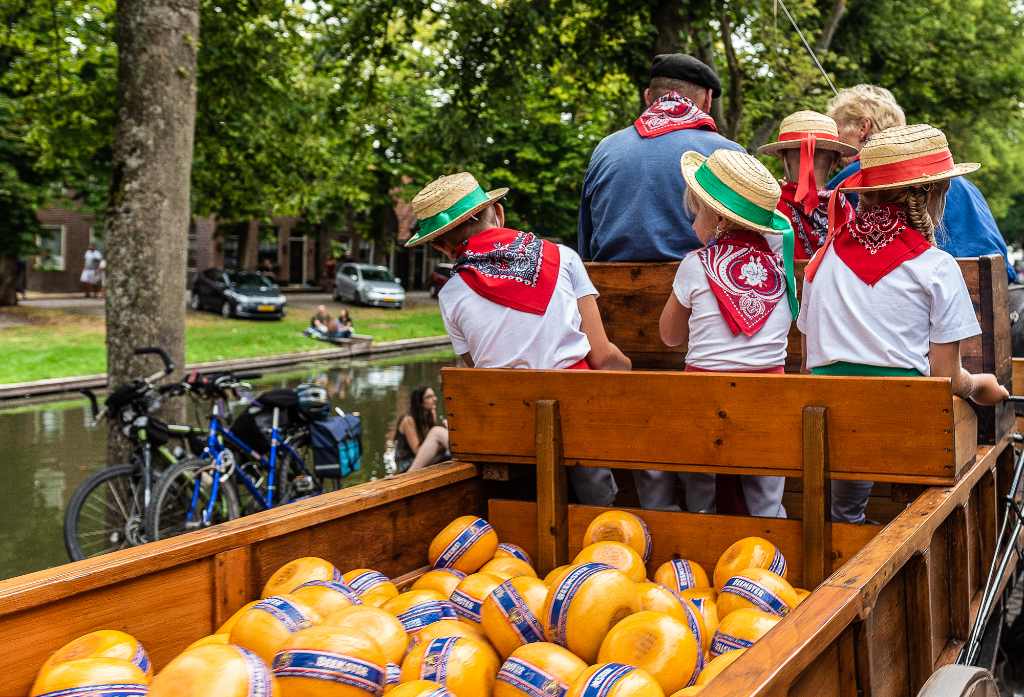 Un carro trasporta forme di formaggio, Edam o Gouda